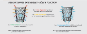 Donjoy Reaction Fonctions Et Roles