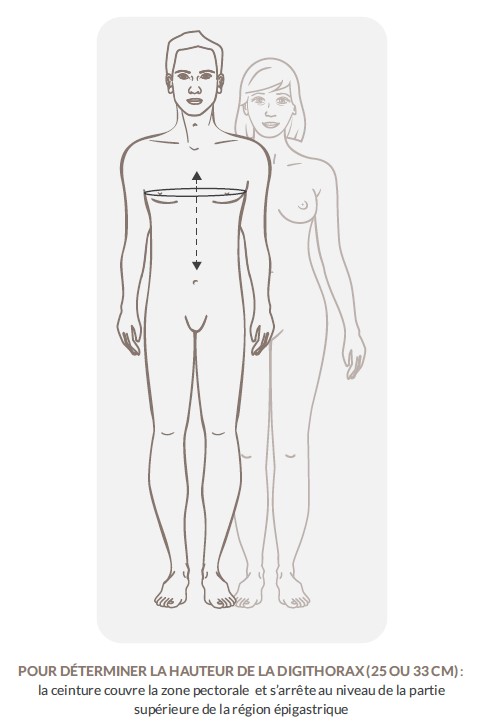 cerecare prise mesure ceintures thoracique digithorax