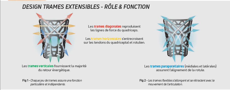 Donjoy Reaction Fonctions Et Roles